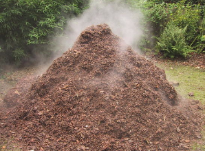 Le compost, c'est quoi ? Pourquoi composter ? - Guides  composteurs-pailleurs de Brest et alentours